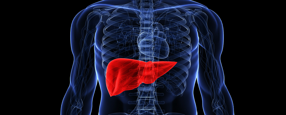 Участвуй во всероссийском проекте "Проверь печень" с "ВЕРАМЕД"